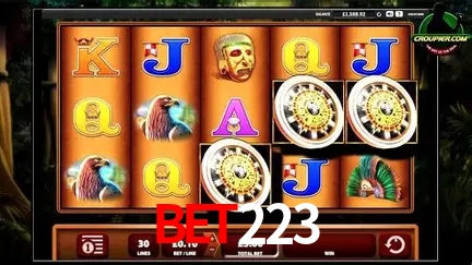 A Experiência Imersiva dos Cassinos Ao Vivo no bet223